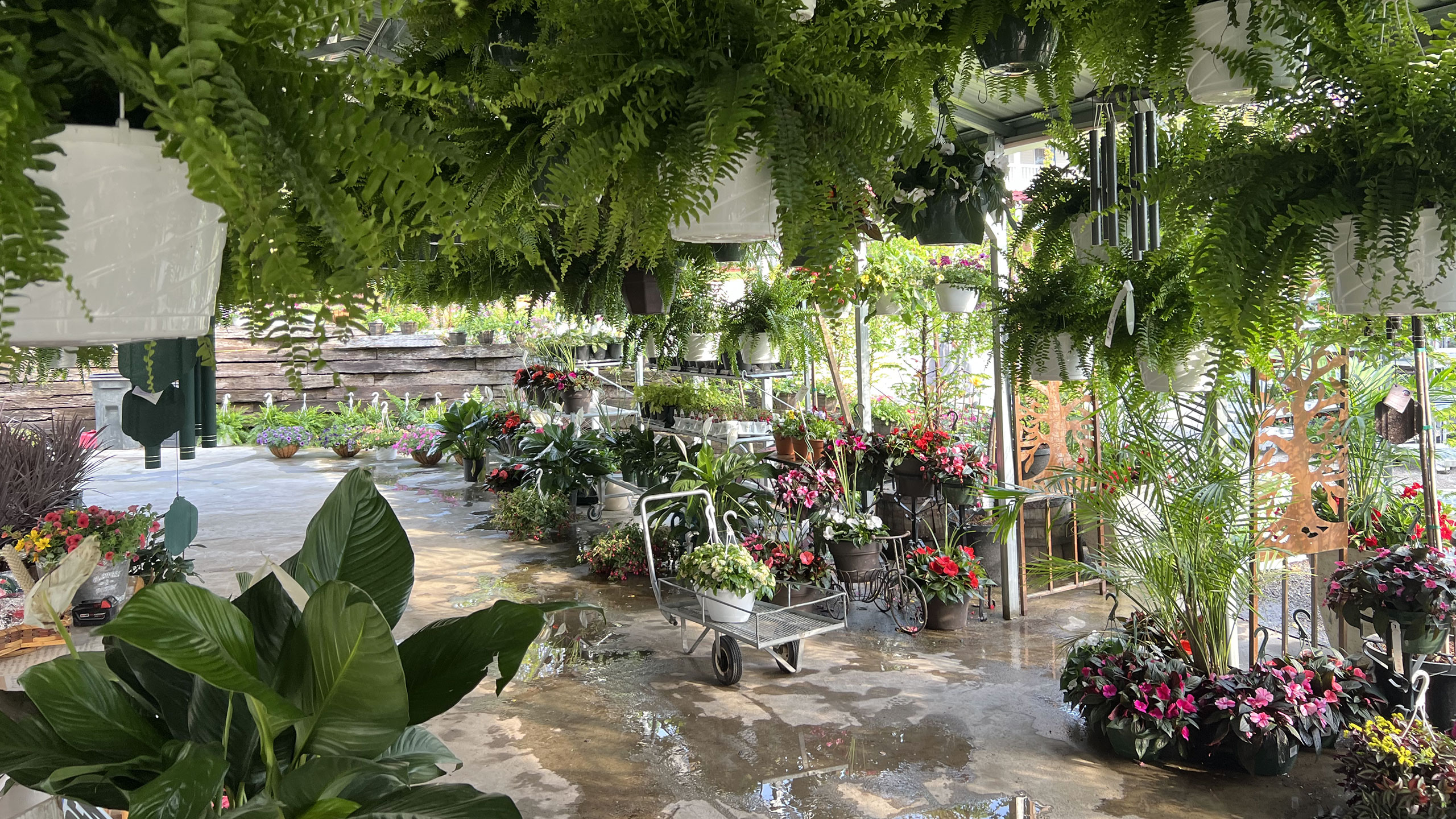 Four Mile Greenhouse